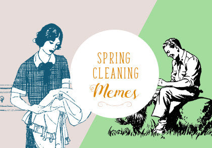 spring cleaning meme