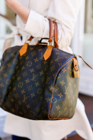 Louis vuitton speedy sac d'occasion