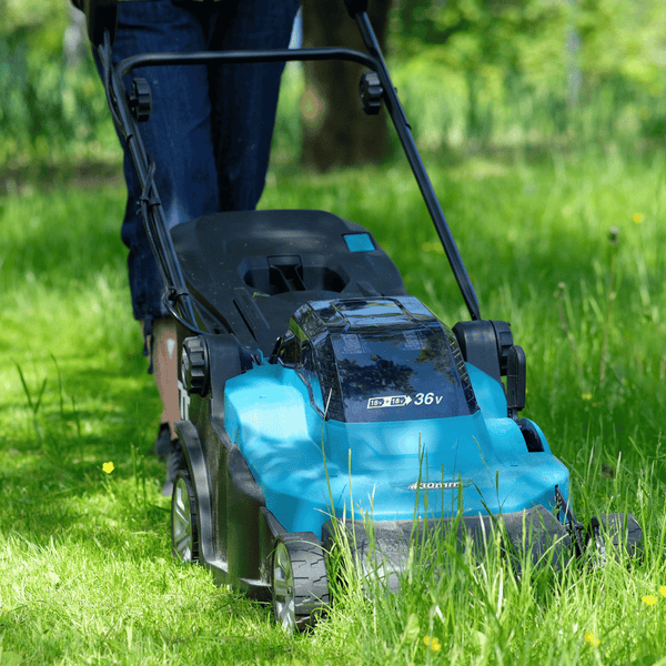 Mowing the lawn