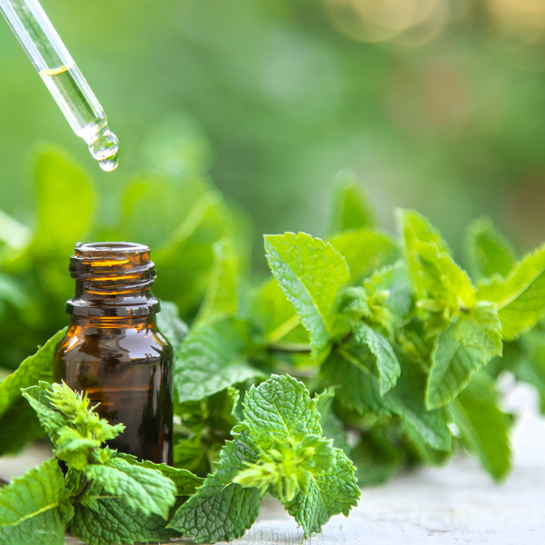 Use Natural Deterrents such as peppermint