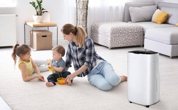 Quiet Dehumidifier for Medium to Large Room