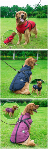 veste impermeable pour chien avec harnais pour laisse