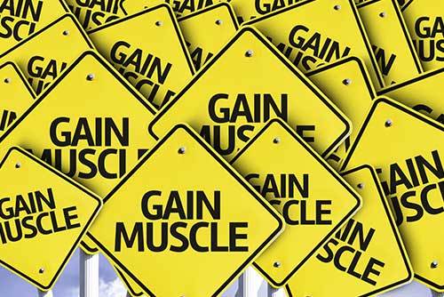 Gain Muscle