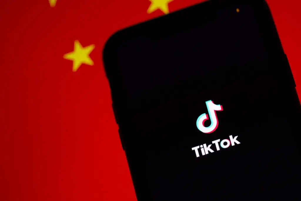 How to Use TikTok to Build Your Audience