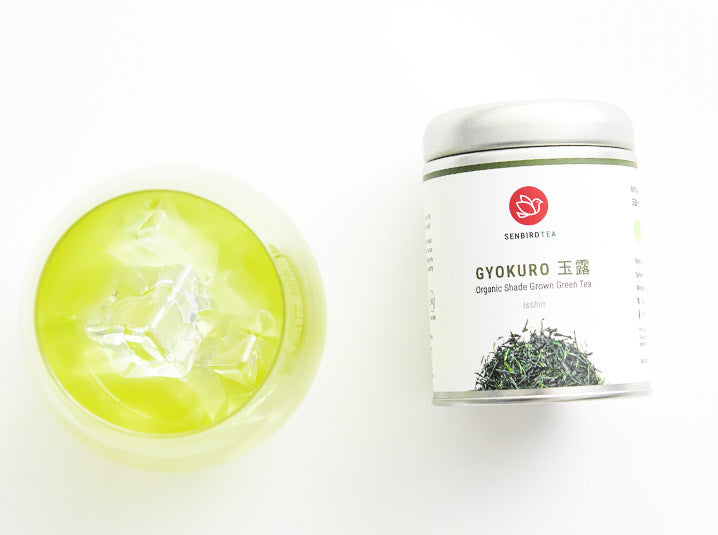 senbird's gyokuro isshin japanese shade grown tea with a iced brewed gyokuro in a glass cup