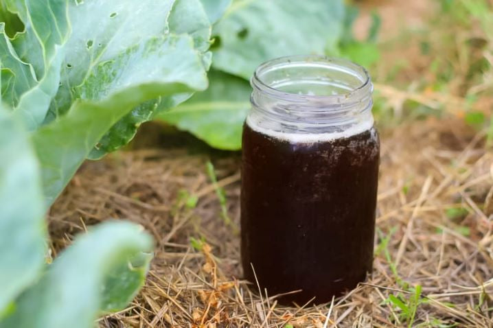 filled jar in garden