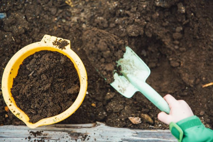 digging soil to add green tea leaves for growing