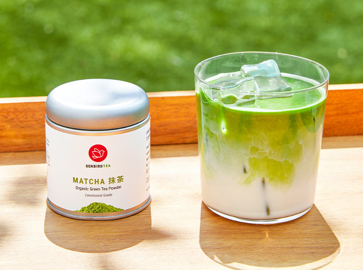 https://cdn.shopify.com/s/files/1/0805/7857/6667/files/senbird-organic-iced-matcha-latte-outdoors-718x535.webp?v=1703796255