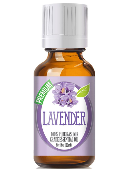  Cost of Kashmir Lavender Essential Oil
