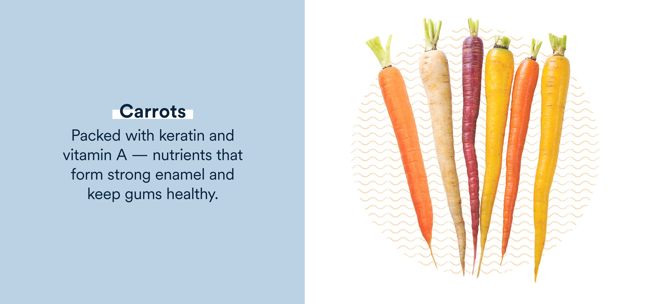 carrots are packed with nutrients that form strong enamel 
