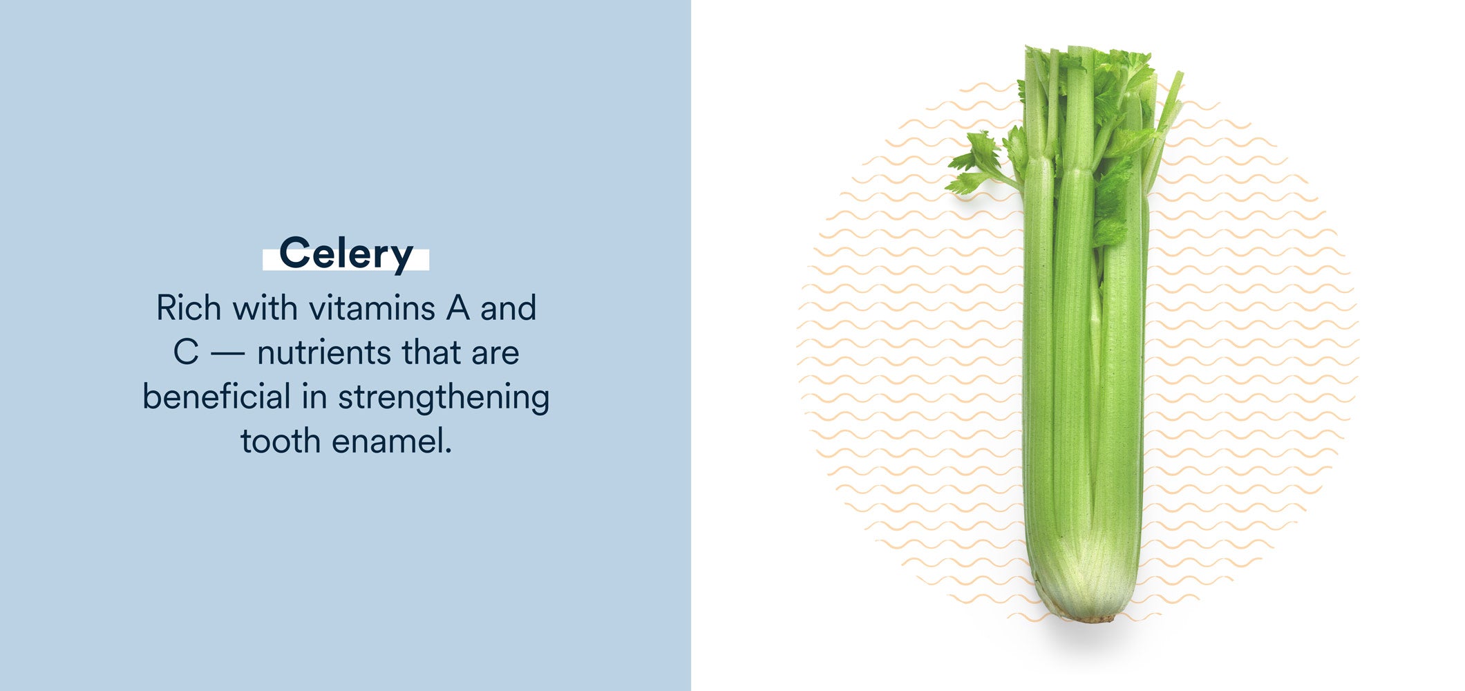 celery is rich in nutrients that can strengthen tooth enamel 