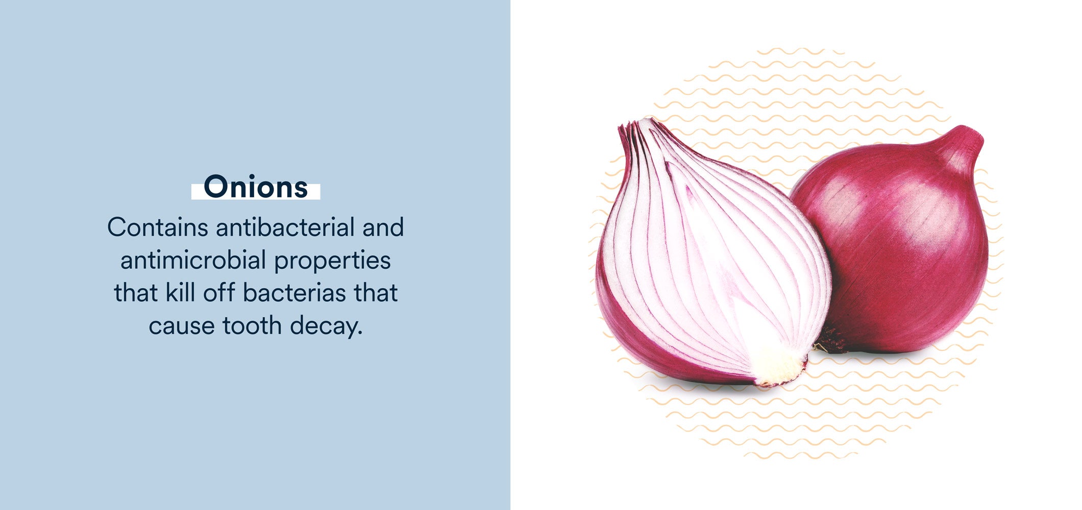 onions contain antibacterial and antimicrobial properties