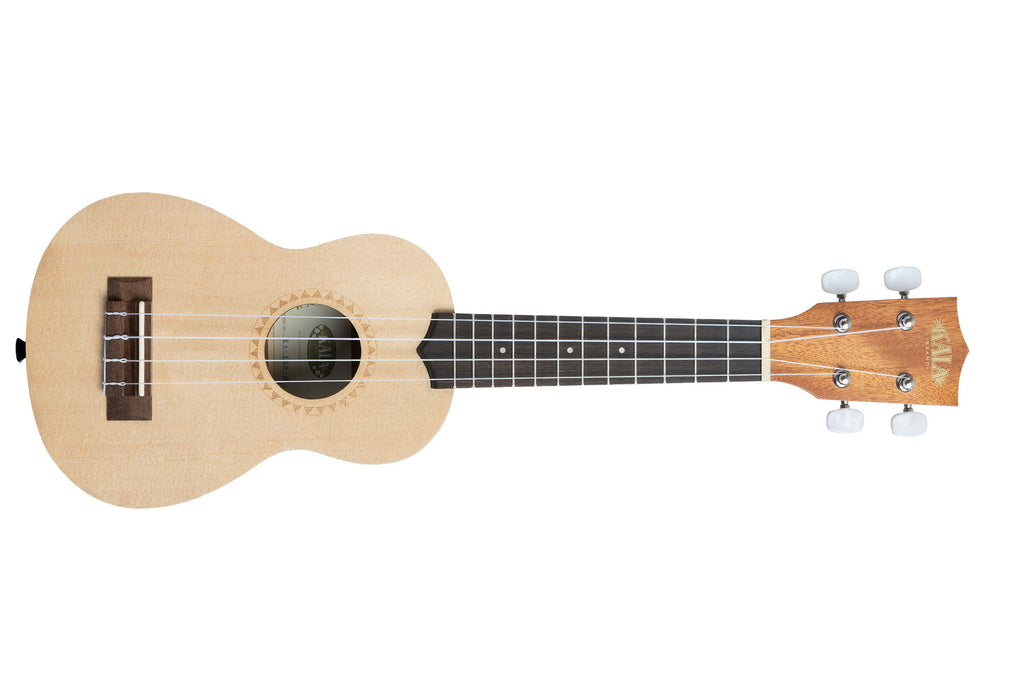 Top Ukulele's for Adult Beginners