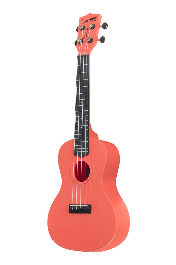 Matte shop black ukulele