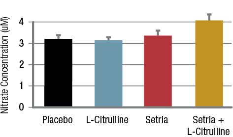 A combination of L-Citrulline (CIT) and Setria supplementation significantly increased NO levels in HUVECs.