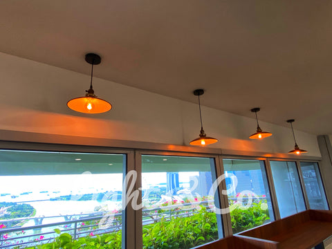 Lighting Singapore - Delphinus Hanging Light