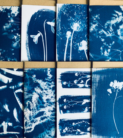 selection of cyanotype greeting cards