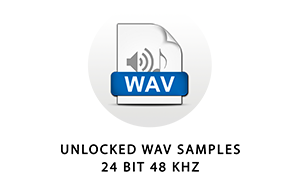 The instrument sample sound files in this library are encoded as standard 24 bit 48 kHz PCM wave files. They can be used in any audio software or hardware that supports common wav files.