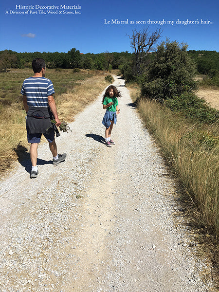 Summers in Provence Le Mistral