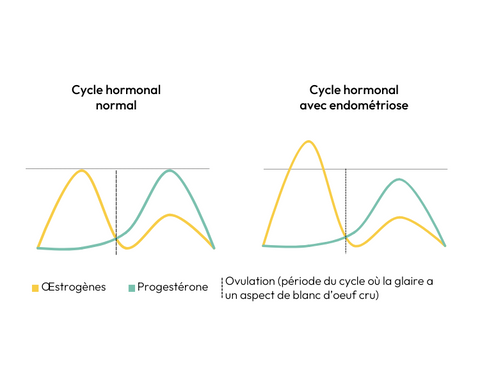 endometriose-solution