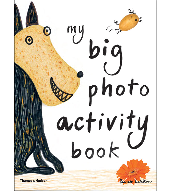 'My Big Photo Activity Book' children's activity book by Pascale Estellon, published by Thames & Hudson, review by Bobby Rabbit