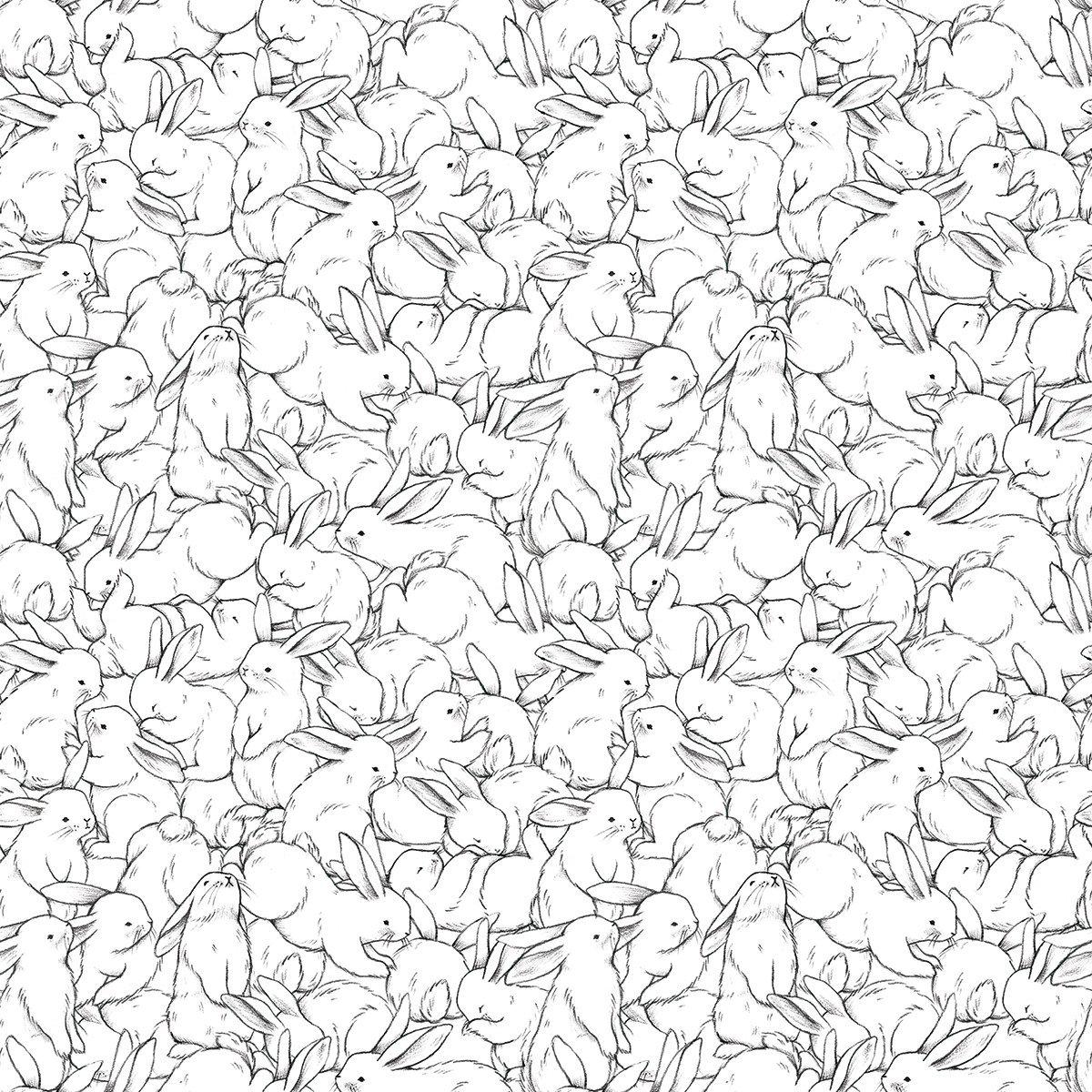 Lots Of Bunnies Wallpaper Ds Wallpaper Lilipinso Bobby Rabbit