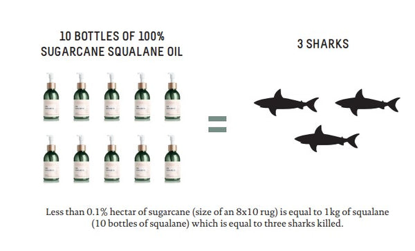 Sugarcane Derived Squalane Oil, the vegan alternative to squalene