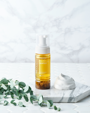 Real Heartleaf Fresh Foam Cleanser