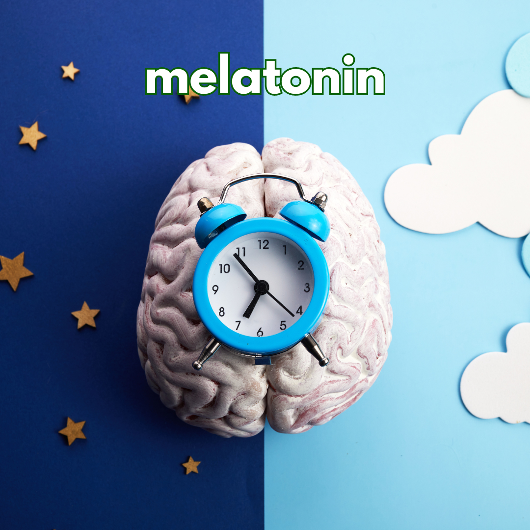 Alarm clock on brain model with word 'melatonin' and night-themed background.