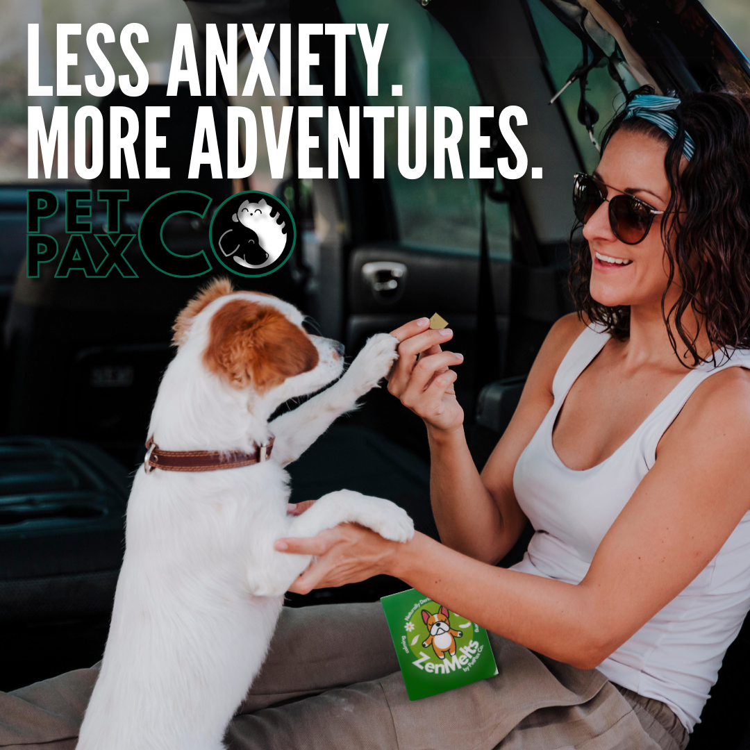 'Happy woman giving treat to excited dog in car under text 'Less Anxiety. More Adventures. Pet Pax Co.''
