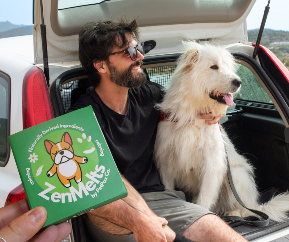 Man and dog sitting in car trunk with product box.