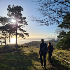 walking with others strengthens connections 