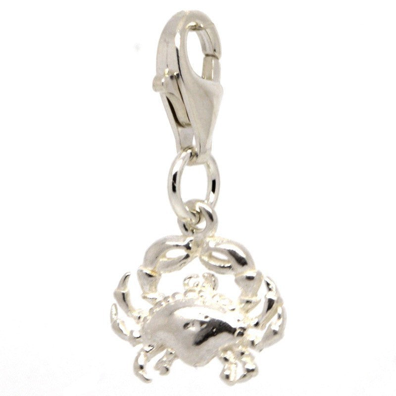 Cancer Charm Silver, Clip on clasp and carrier bead | Beautiful Charms ...