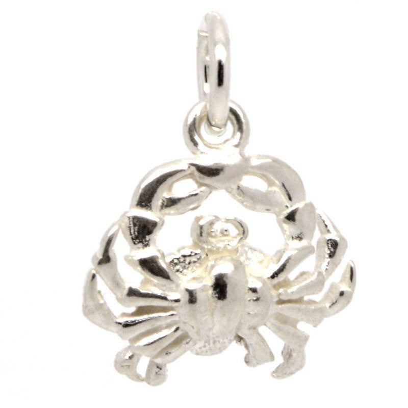 Cancer Charm Silver, Clip on clasp and carrier bead | Beautiful Charms ...