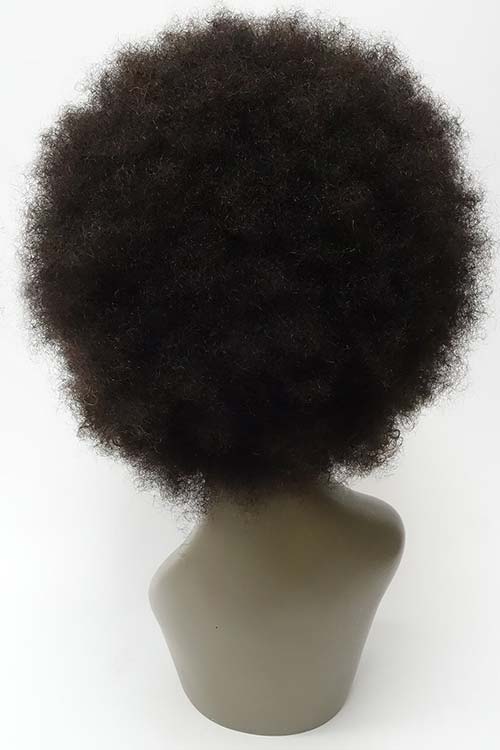 Afro Wig 10