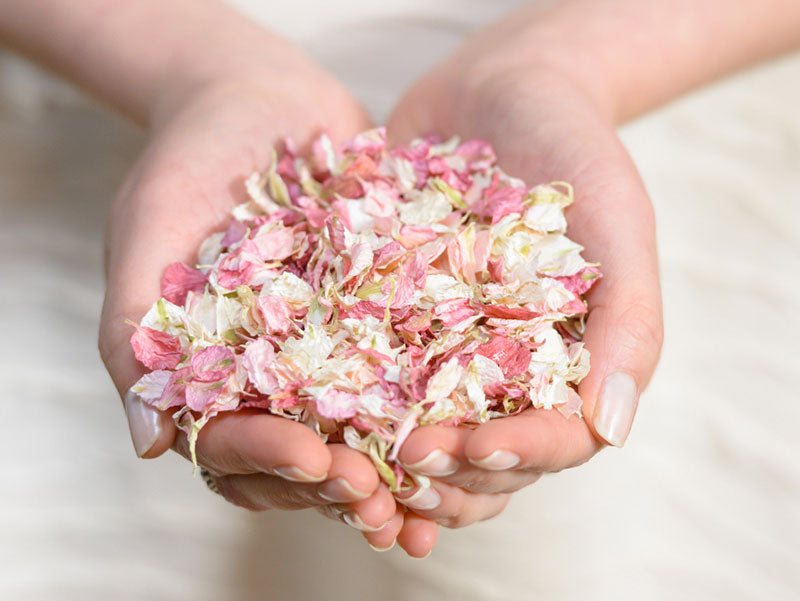 Handful of pink biodegradable petal confetti