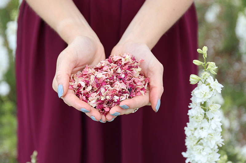 Handfuls of beautiful dried flower petals to make confetti