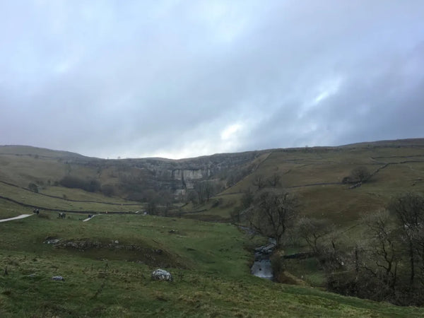 View up to Malham Cove from roadside