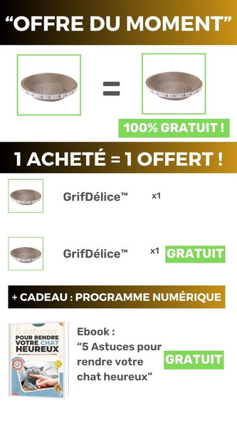 griffoir-chat-offre