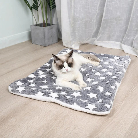 tapis-pour-chat-détendu