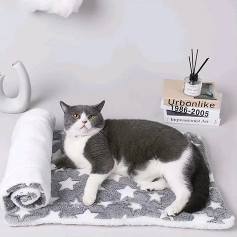 tapis-pour-chat-résistant