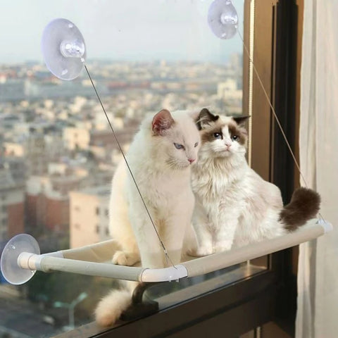 hamac-pour-chat-duo