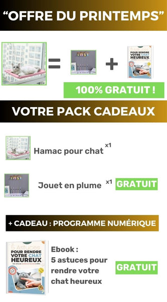 hamac-pour-chat-marketing-printemps