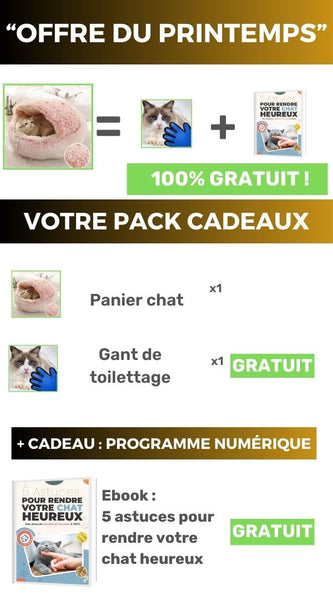 panier-chat-offre