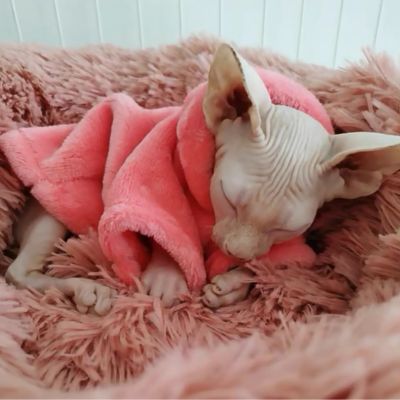 vêtement-pour-chat-snuggle-rose