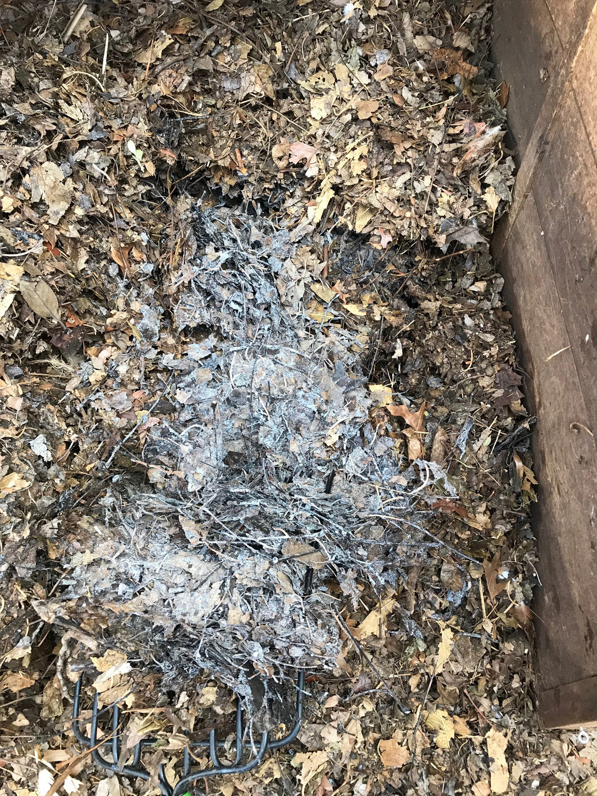 Leaf Compost 1