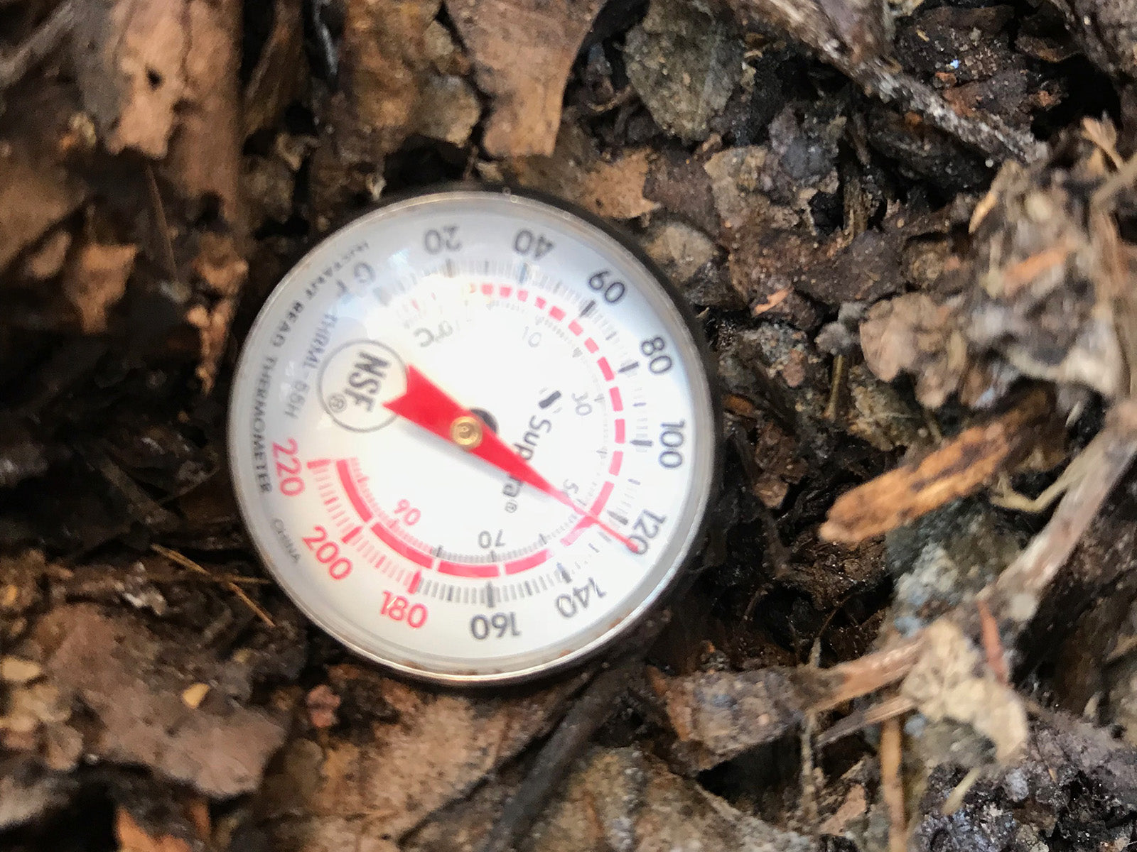 Compost Thermometer Demonstrating Heat Produced from Active Compost