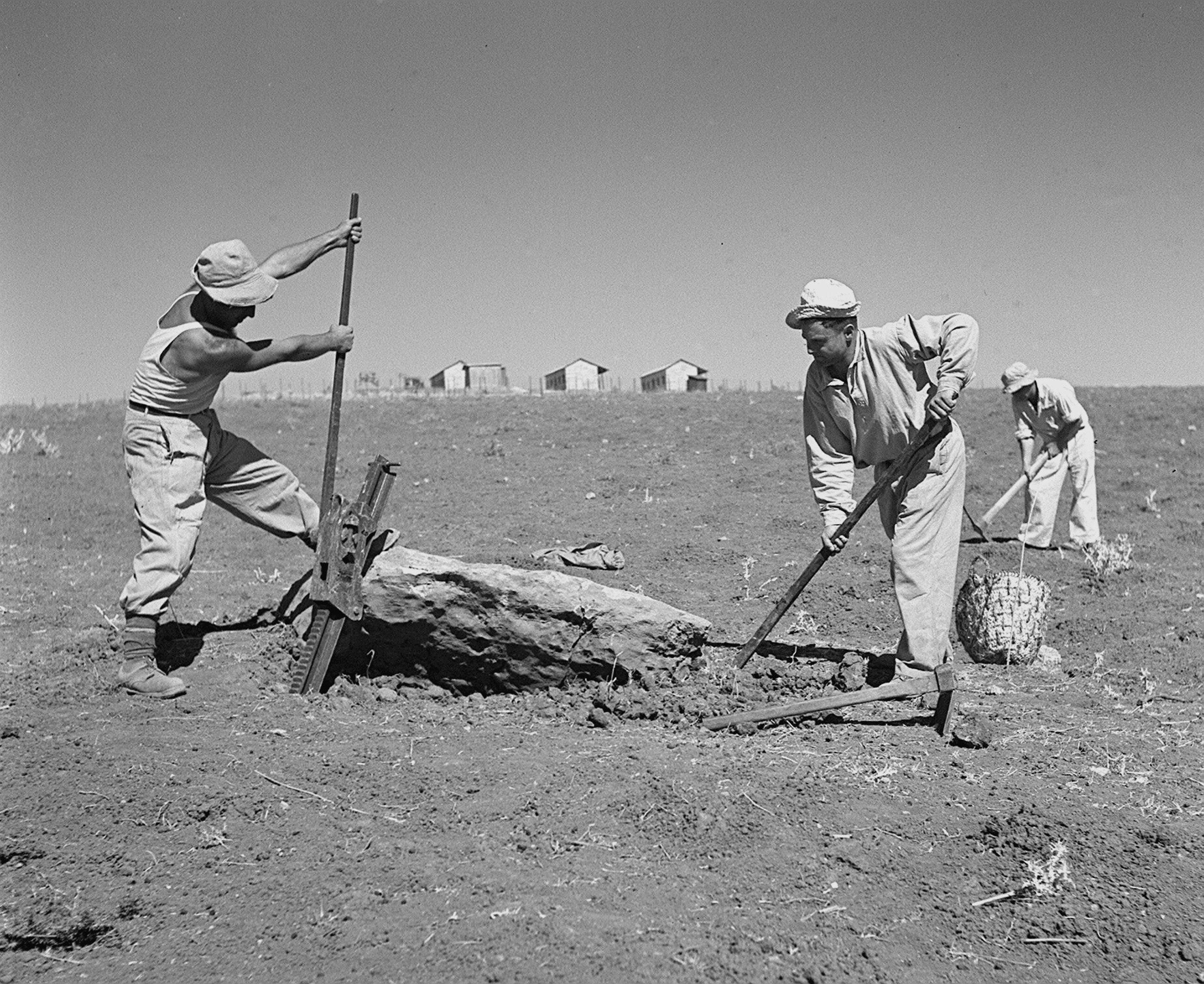 Workers Pulling Stone