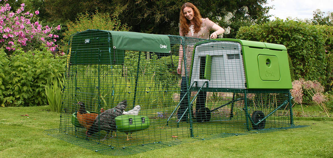 Non-composting chicken coop