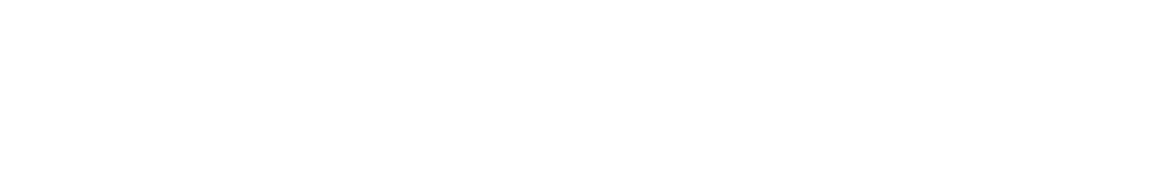 shopify-partners